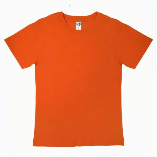 Produktabbildung BS Evolution Kinder T-Shirt, 150 gr/m² BS Evolution Kinder T-Shirt, 150 gr/m² (Bild 1)