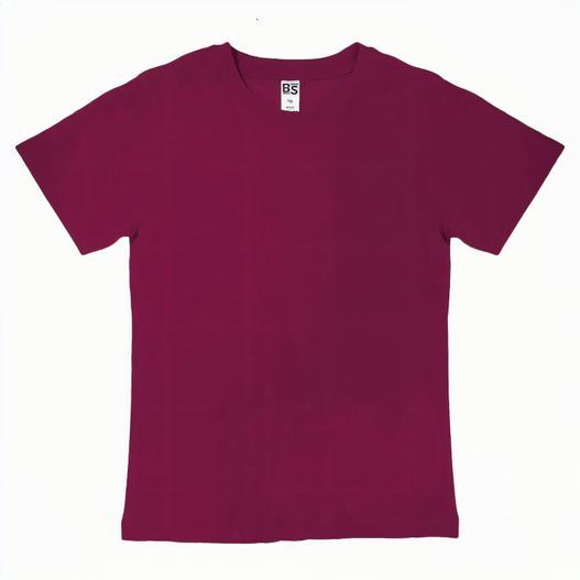 Produktabbildung BS Evolution Kinder T-Shirt, 150 gr/m² BS Evolution Kinder T-Shirt, 150 gr/m² (Bild 1)