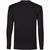 BS Evolution Langarm-T-Shirt, 160 g/m2, 100 % Baumwolle (Bild 4)