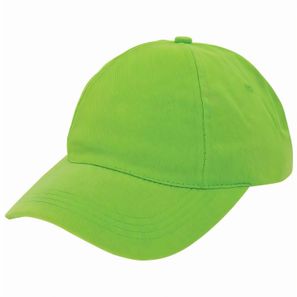 Brushed Promo Cap