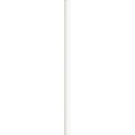 BIC® Evolution® Classic Cut Ecolutions® Bleistift Siebdruck