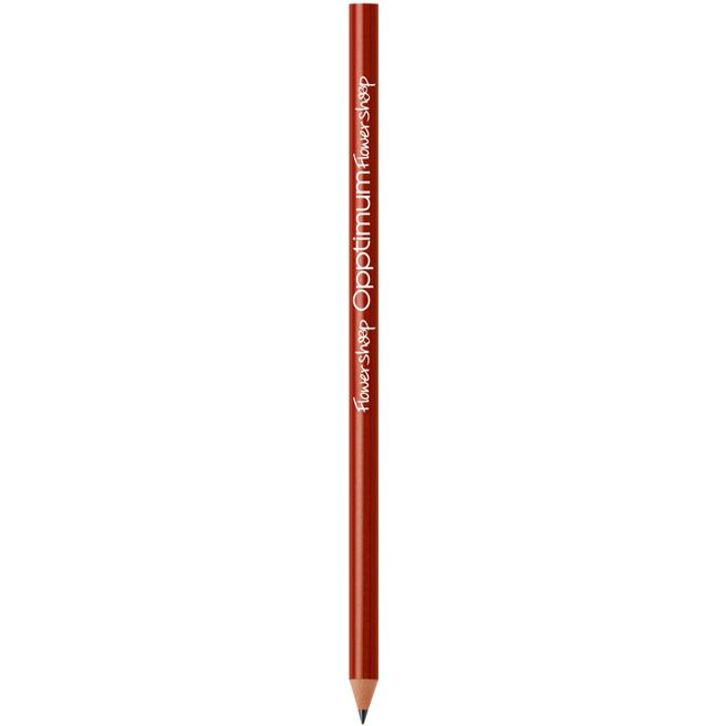 BIC® Evolution® Classic Cut Ecolutions® Bleistift Siebdruck