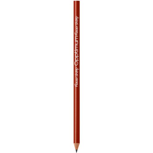 ein bleistift mit einem roten griff auf einem weißen hintergrund BIC® Evolution® Classic Ecolutions® Bleistift Siebdruck (Bild 1)