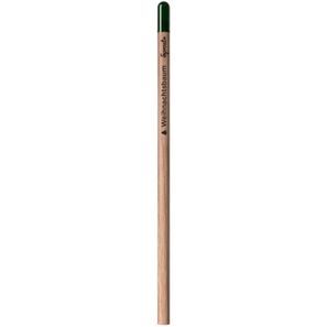 Sprout™ | Bleistift Lasergravur