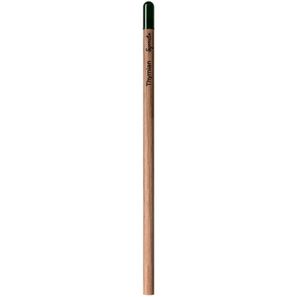 Sprout™ | Bleistift Lasergravur
