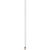 BIC® Evolution® Classic Ecolutions® Bleistift Siebdruck