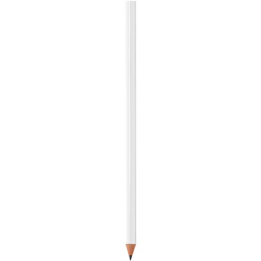 ein bleistift mit weißer spitze auf weißem hintergrund BIC® Evolution® Classic Ecolutions® Bleistift Siebdruck (Bild 1)