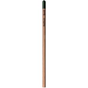 Sprout™ | Bleistift Lasergravur