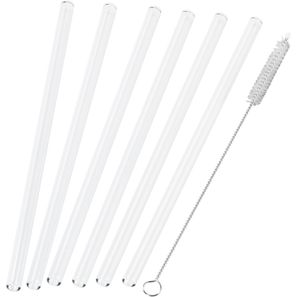 6er Glastrinkhalm Set + Bürste