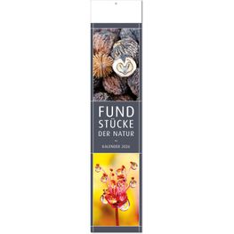 Kalender "Fundstücke der Natur" im Format 11 x 50 cm, mit Fälzel