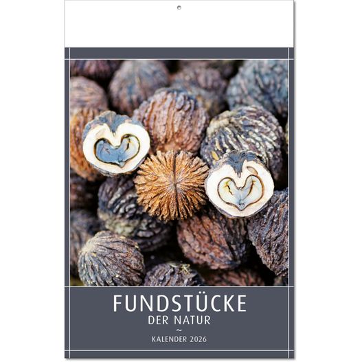 Produktabbildung Kalender "Fundstücke der Natur" im Format 24 x 37,5 cm, mit Fälzel Kalender "Fundstücke der Natur" im Format 24 x 37,5 cm, mit Fälzel (Bild 1)