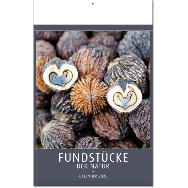 Kalender "Fundstücke der Natur" im Format 24 x 37,5 cm, mit Fälzel