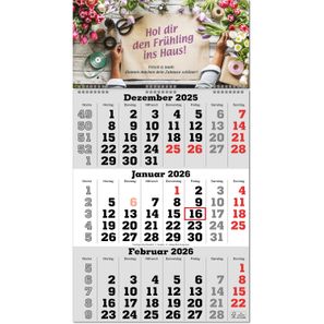 Drei-Monats-Planer "Classic-wire", grau, im Format 30 x 55,5 cm, Datumsweiser umgelegt