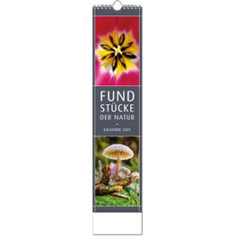 Kalender "Fundstücke der Natur" im Format 11 x 51 cm, mit Wire-O-Bindung und verlängerter Rückwand