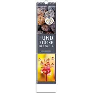 Kalender "Fundstücke der Natur" im Format 11 x 51 cm, mit Wire-O-Bindung und verlängerter Rückwand