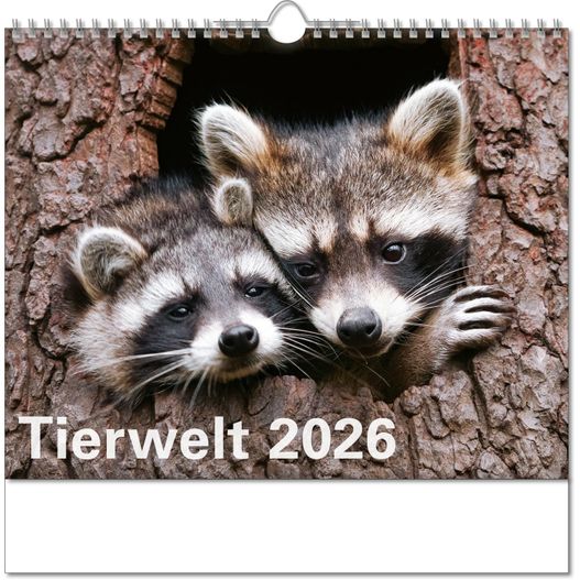 Produktabbildung Kalender "Tierwelt" im Format 30 x 29 cm, mit Wire-O-Bindung und verlängerter Rückwand Kalender "Tierwelt" im Format 30 x 29 cm, mit Wire-O-Bindung und verlängerter Rückwand (Bild 1)