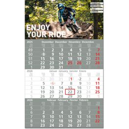 Drei-Monats-Planer "Hit" im Format 30 x 49 cm, anthrazit HKS 92, Datumsweiser umgelegt