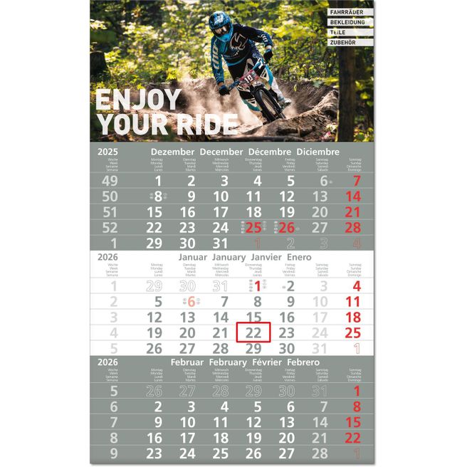 Drei-Monats-Planer "Hit" im Format 30 x 49 cm, anthrazit HKS 92, Datumsweiser umgelegt