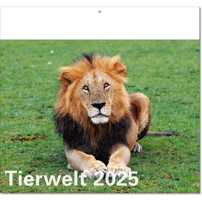 Kalender "Tierwelt" im Format 30 x 28 cm, mit Fälzel