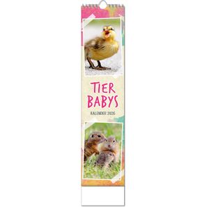 Kalender "Tierbabys" im Format 11 x 51 cm, mit Wire-O-Bindung und verlängerter Rückwand