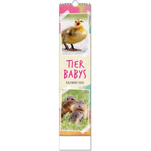 Produktabbildung Kalender "Tierbabys" im Format 11 x 51 cm, mit Wire-O-Bindung und verlängerter Rückwand Kalender "Tierbabys" im Format 11 x 51 cm, mit Wire-O-Bindung und verlängerter Rückwand (Bild 1)