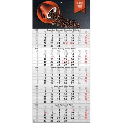 Produktabbildung Fünf-Monats-Planer "Penta" im Format 60 x 64 cm, Datumsweiser umgelegt Fünf-Monats-Planer "Penta" im Format 60 x 64 cm, Datumsweiser umgelegt
