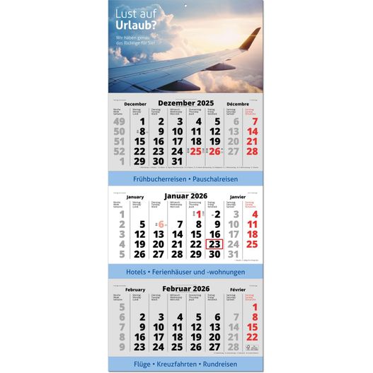 3-Monats-Planer "Spezial" mit deutschem Kalendarium im Format 34 x 81,6 cm, grau (Bild 1)