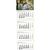 4-Monats-Kalender "Green4" mit deutsch-mehrsprachigem Kalendarium im Format 34 x 98,8 cm (Bild 1)