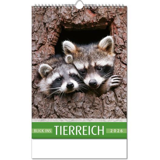 Kalender "Blick ins Tierreich" im Format 24 x 38,5 cm, mit Wire-O Bindung und verlängerter Rückwand (Bild 1)