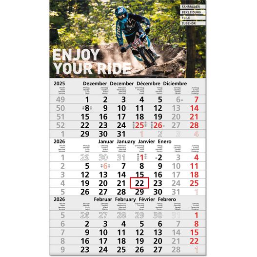 Drei-Monats-Planer "Hit" im Format 30 x 49 cm, hellgrau/rot HKS 13, Datumsweiser umgelegt (Bild 1)