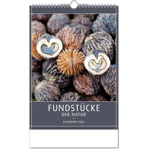 Kalender "Fundstücke der Natur" im Format 24 x 38,5 cm, mit Wire-O Bindung und verlängerter Rückwand