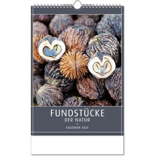 Produktabbildung Kalender "Fundstücke der Natur" im Format 24 x 38,5 cm, mit Wire-O Bindung und verlängerter Rückwand Kalender "Fundstücke der Natur" im Format 24 x 38,5 cm, mit Wire-O Bindung und verlängerter Rückwand (Bild 1)