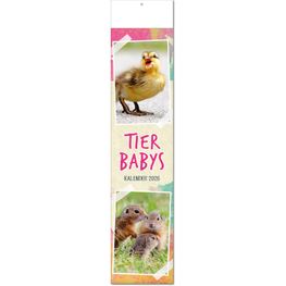 Kalender "Tierbabys" im Format 11 x 50 cm, mit Fälzel