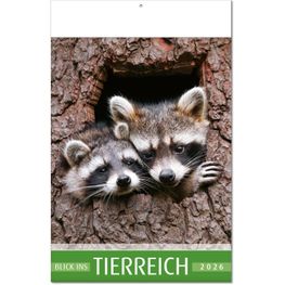 Kalender "Blick ins Tierreich" im Format 24 x 37,5 cm, mit Fälzel