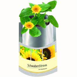 Plant-Bag Sonne