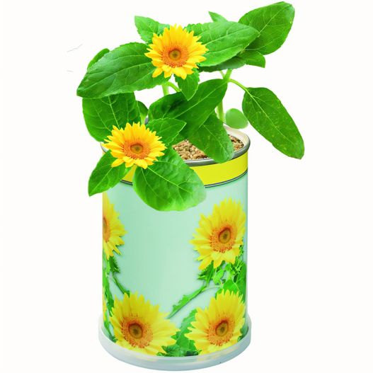 Blumendose Sonne (Bild 1)