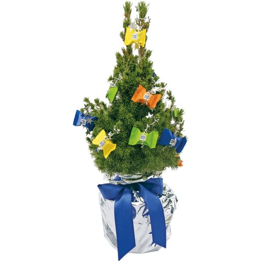 ein kleiner weihnachtsbaum mit einem blauen band Süßes Schoko-Bäumchen 35-45 cm (Bild 1)
