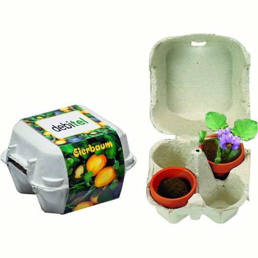 Eierbaum-Box (Bild 1)