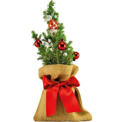 Produktabbildung Kugelglanz-Bäumchen 20-30 cm Kugelglanz-Bäumchen 20-30 cm