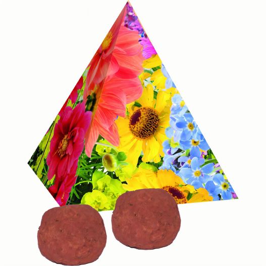 Pyramide Spitzenwachstum (Bild 1)