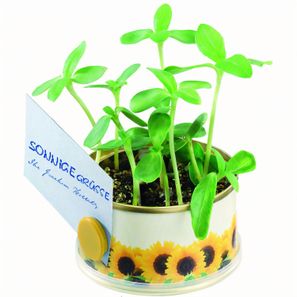 Minigarten Sonne mit Magnet