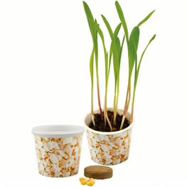 Produktabbildung Snack 2Grow Popcorn Snack 2Grow Popcorn