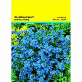 Samentütchen Vergissmeinnicht 82 x 114 mm