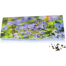 Klappkärtchen Vergissmeinnicht