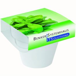 Produktabbildung Tontopf Colour Kräuter Tontopf Colour Kräuter