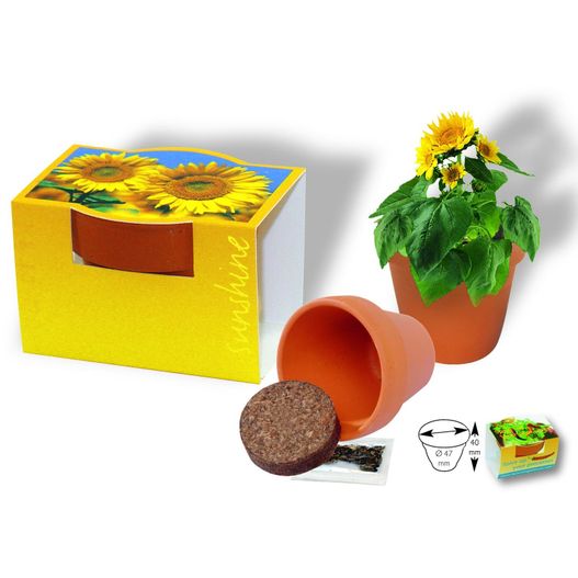 ein blumentopf mit einem cookie und einer box Tontöpfchen Sonne (Bild 1)