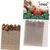 Samen-Sticks Sommerfreuden (Bild 2)