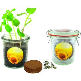 Produktabbildung Gläschen Sonne Gläschen Sonne