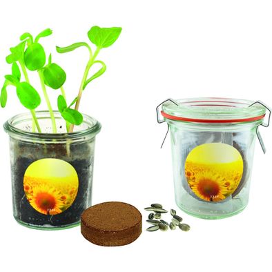 Produktabbildung Gläschen Sonne Gläschen Sonne