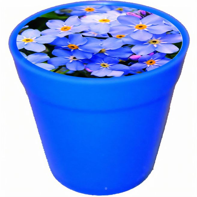 Business Töpfchen Vergissmeinnicht